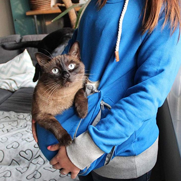 3ce9025a8db35db77c8a950dc5