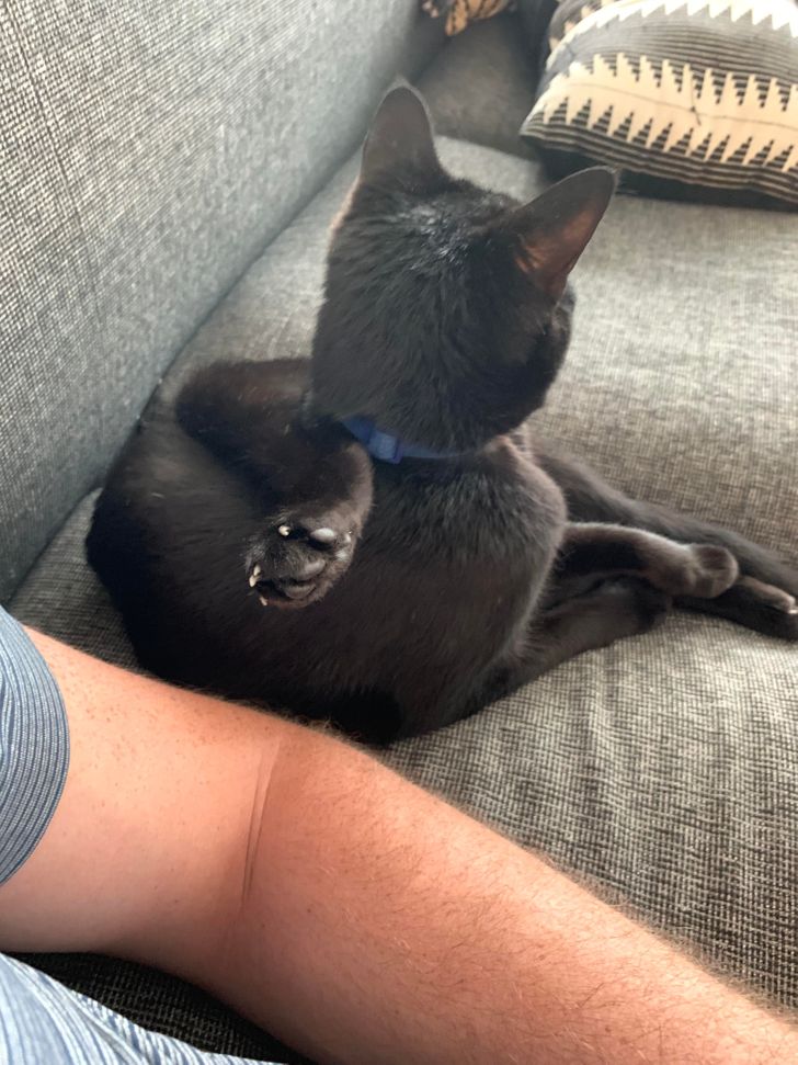 3ce92a584fae18a45287c91956