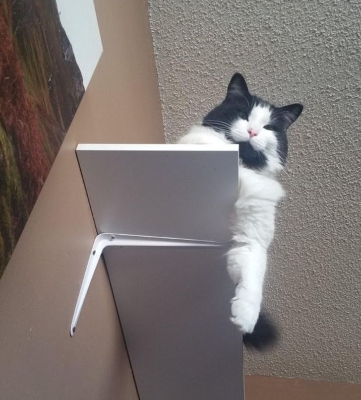 3ceb8758048abe40009a3e486e