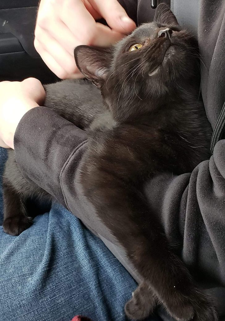 3cf5315aa680ff8a15310b9b17