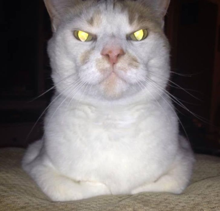 3cf82950429e663e68442990a1 3cf82950429e663e68442990a1