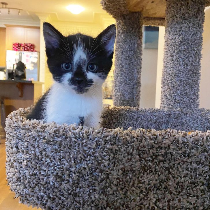 3d0432521cb44df156f77d9a0c