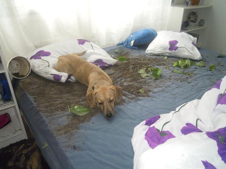 3d05c5544bbd4489c62639eefe