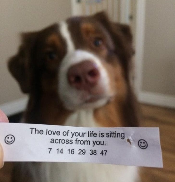 3d06ff56118f06325698ed7bac