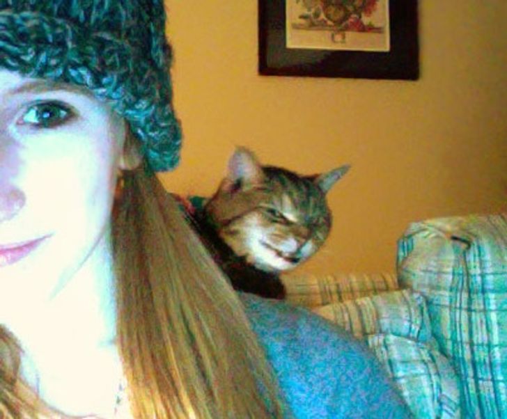 3d07bd597d9dcf5624c5c380db