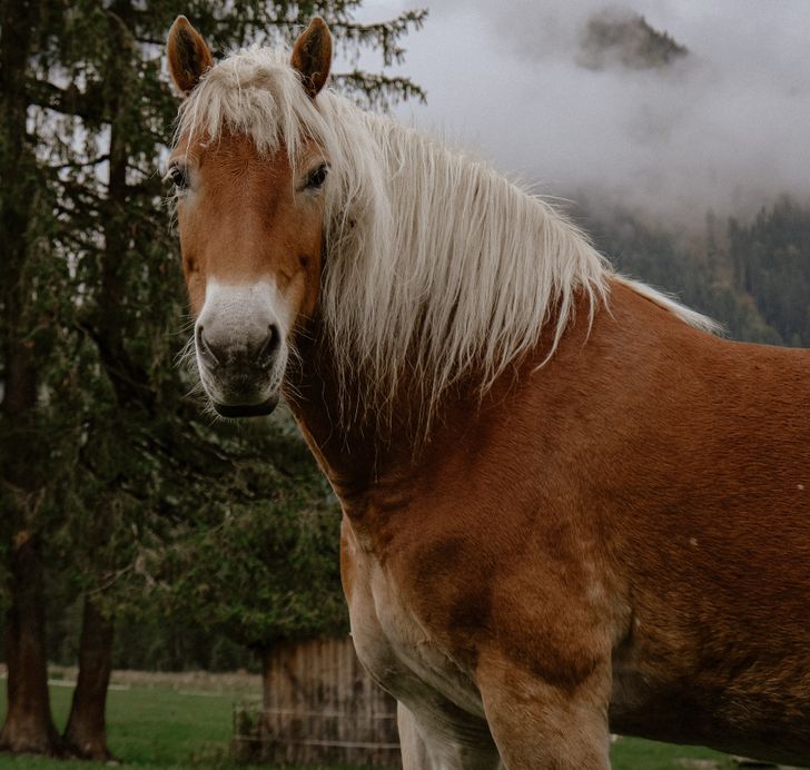 3d08a159e3ac6741fb6220c5d2