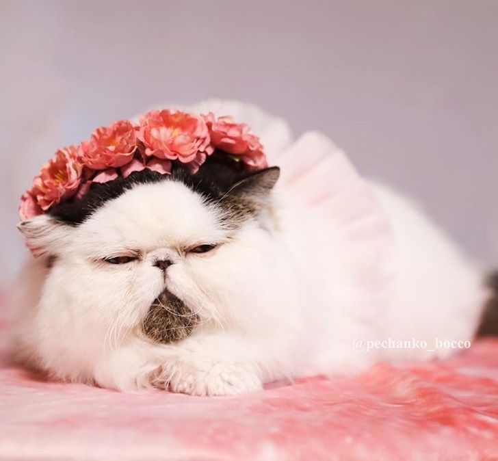 3d0ad755d5bfe2881625b3717b