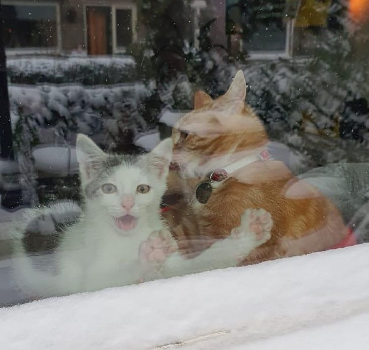 3d0af753a8a5f802fcb4b6769b