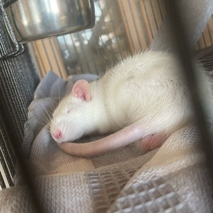 3d0b4c537093d1233958bbf61a