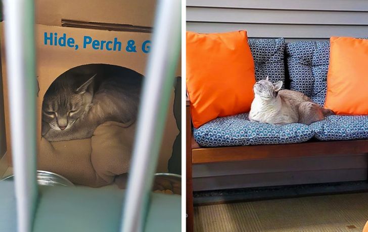 3d0b515e98a688cd1b3ad638ab