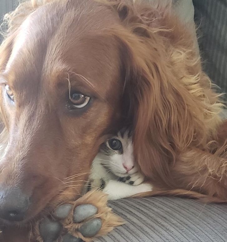 3d12cf582fb53ebc70683c9212