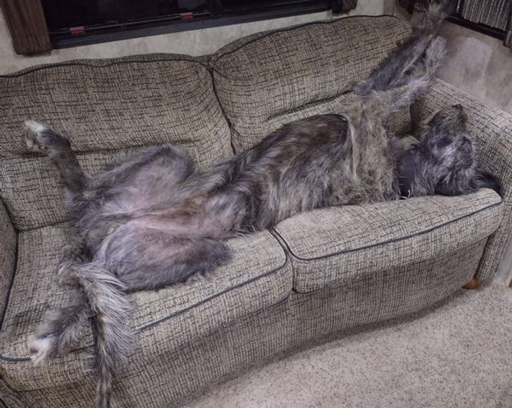 3d146350a7b2f11d86a5584127