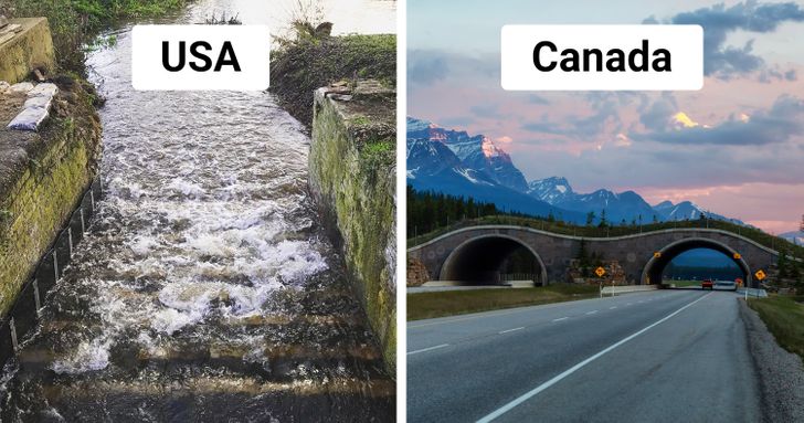 3d146e598aadda463d0e195cd2