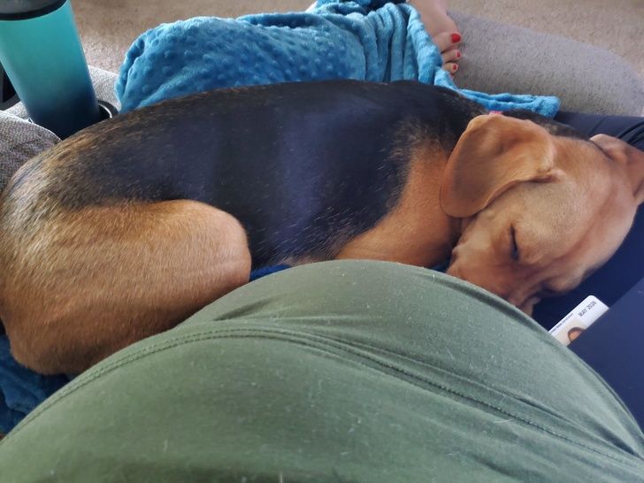 3d19b85a8d88c167af4594872f