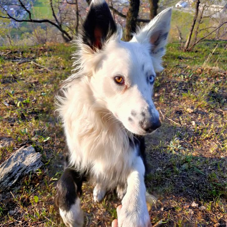 3d1bd05af08f060e929fe80e2a