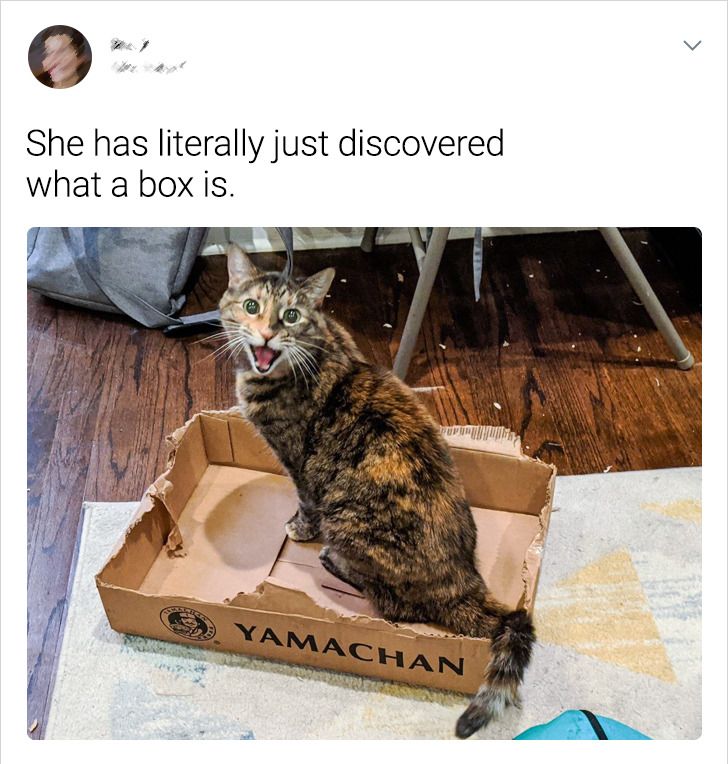 3d20545e589dacbf425d69dda5