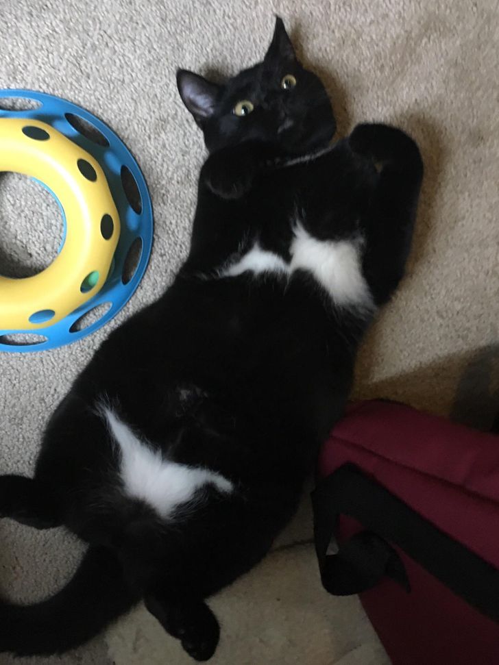 3d22595010a71f58f7711bc323