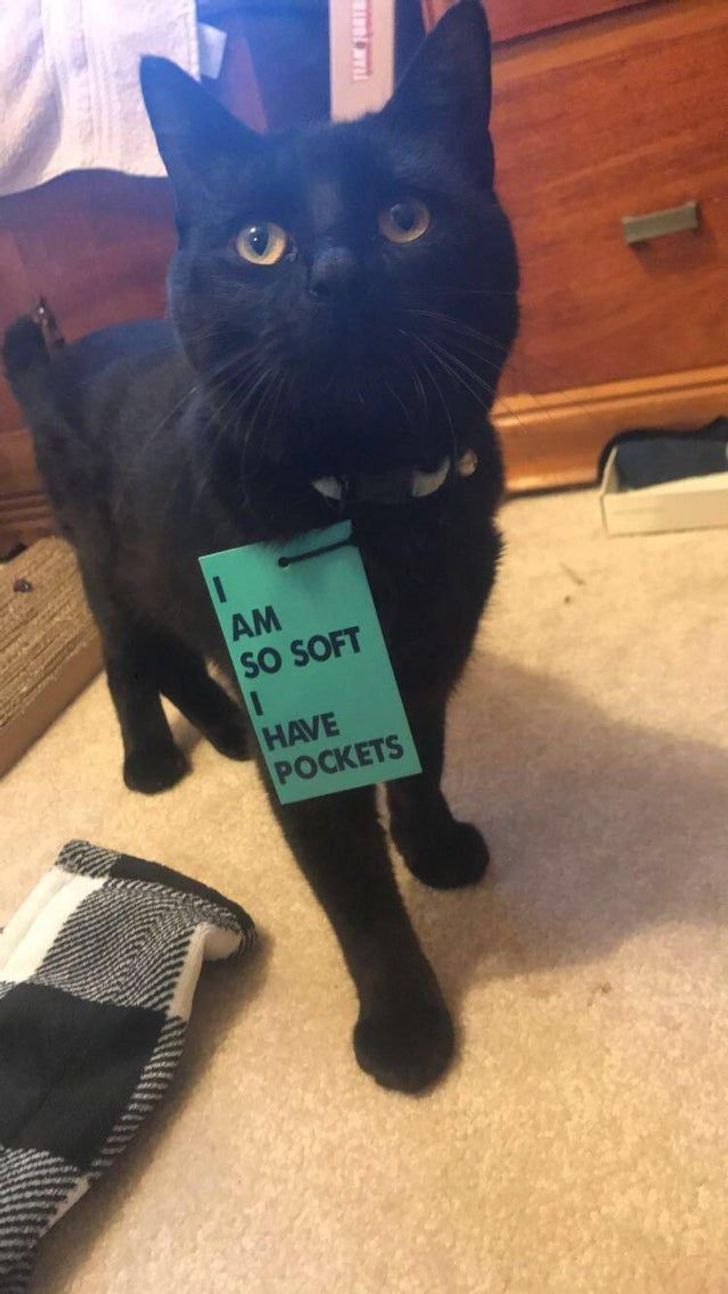 3d23ea58acad0b24a6128471c1