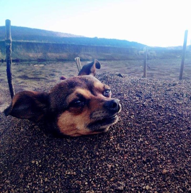 3d2463503eb70db1d955073edf