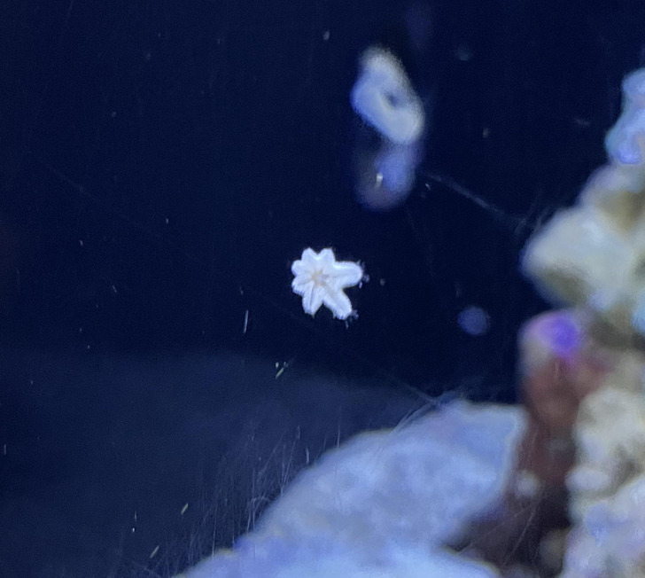 3d24b2513f8a545dd2069d8247