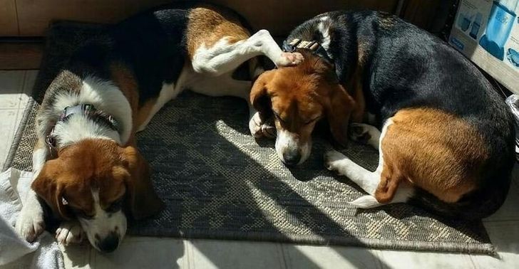 3d24b951aaa29d5e68793af6eb