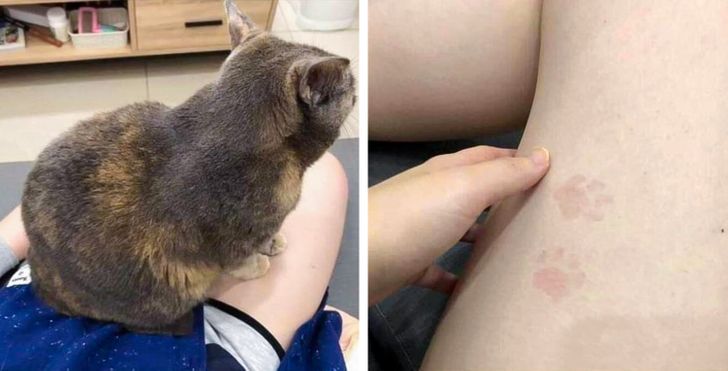 3d277953a1a6ab56f57ea1de2f