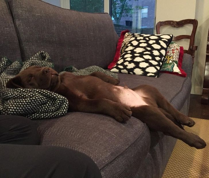 3d28fa571d870e4ab8b9c9b24c