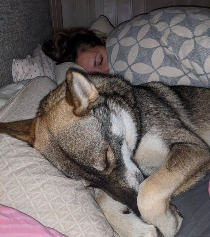 3d31935b29b734c7af8cea512c