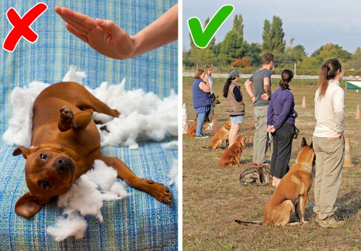 3d37dd524d8c90d5a4cb30fc13