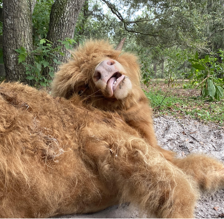 3d3af1511e8c21f23596081485 3d3af1511e8c21f23596081485