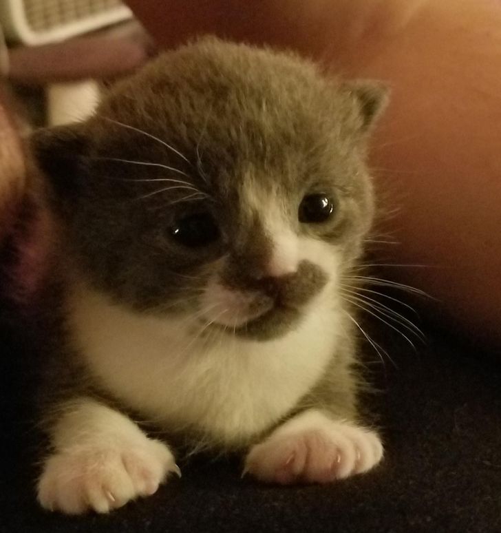 3d3e88501a9b9bd15ce3653955