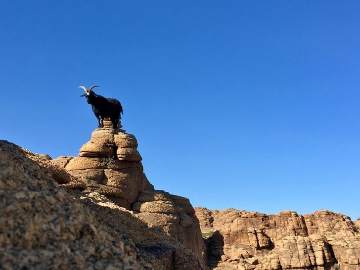 3d4f475bafa6718fca137943b9