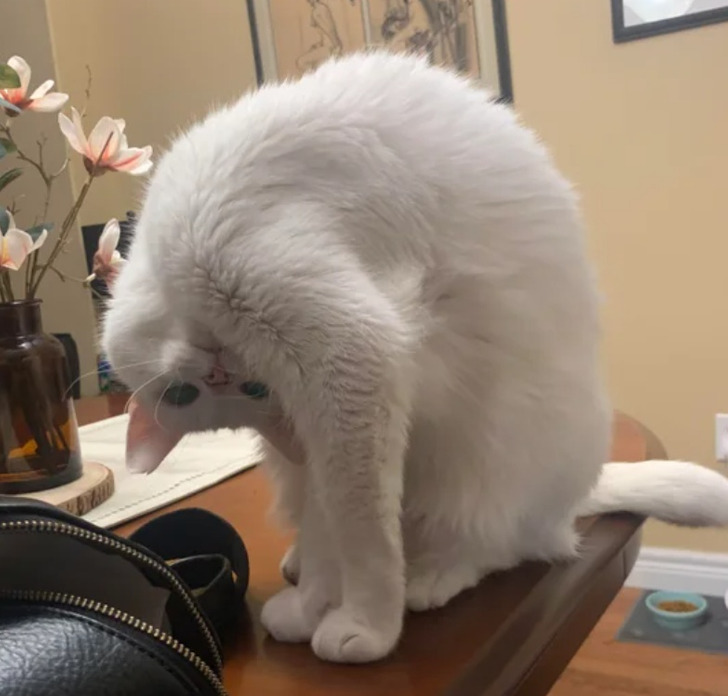 3d53b25457a33cd8eb01678a3b