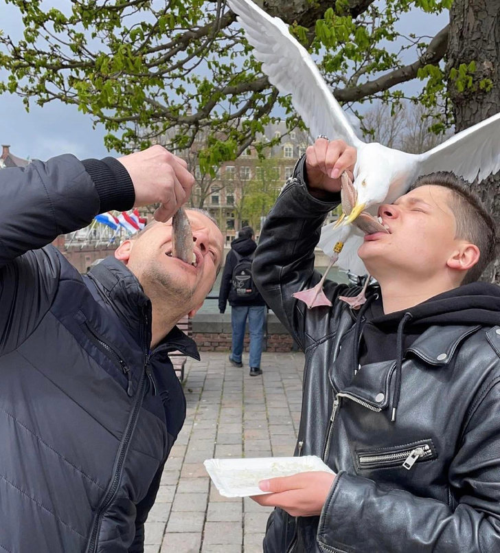 3d559d570ea8cfe8abd3897fe3