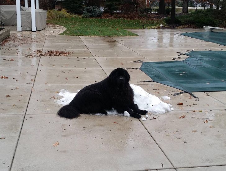 3d5a6758bda72cb52f8db8a68a