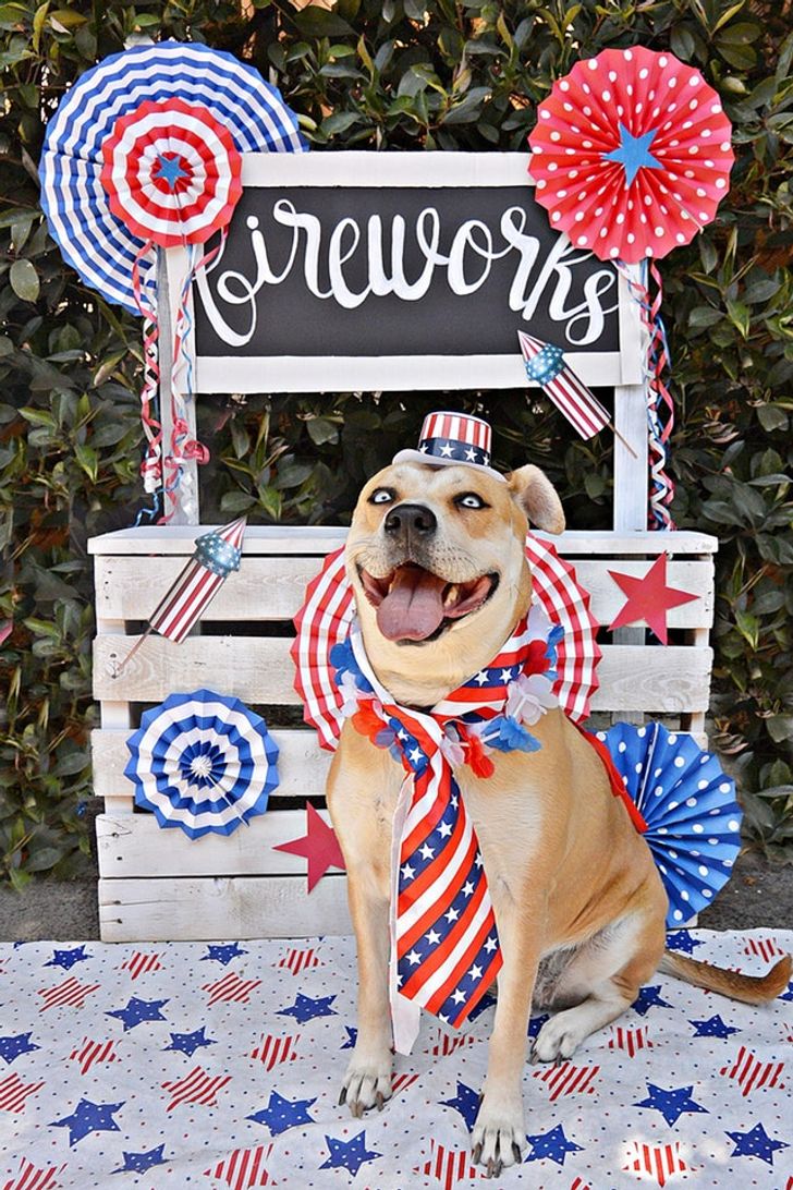 3d5ecb53b7941fc27e4ade4bc6