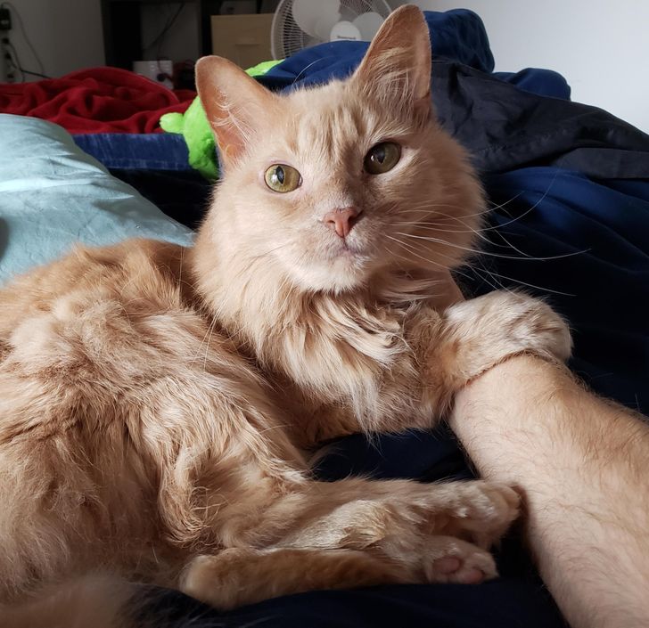 3d7cbd5c9796fd6682ba119071