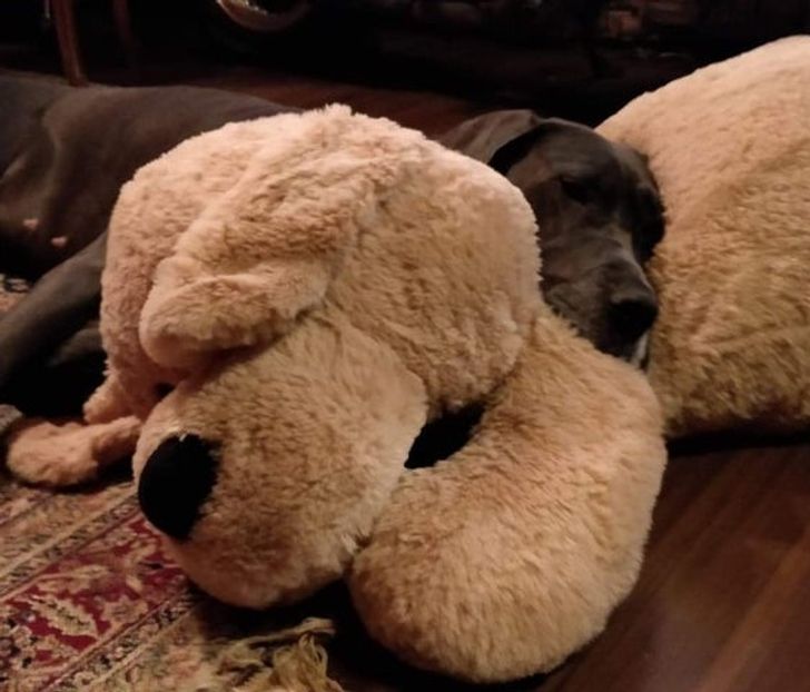 3d810757fc82db88cd411968e7