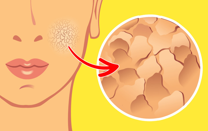 3d846d5801b10f7c8d3c0b4e70