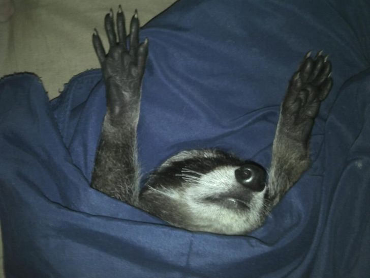 3d868b5512a0d80005b5ce761d