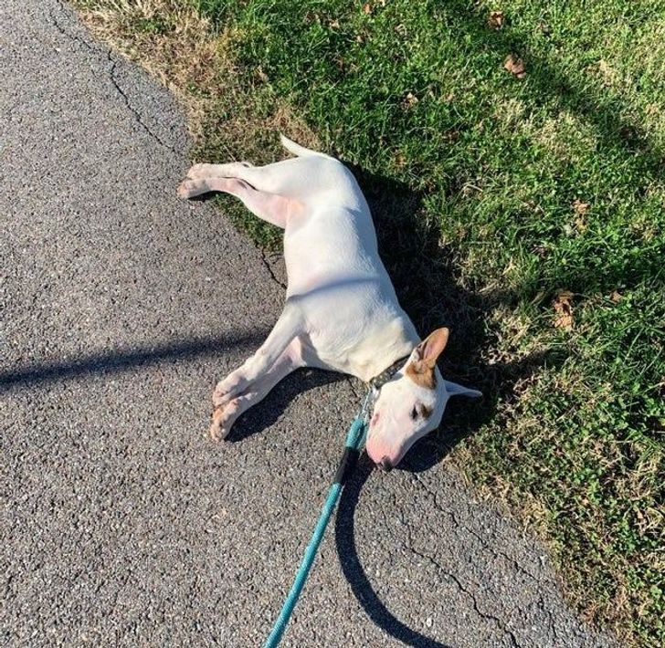 3d92095abc9fda8d4e774394a9