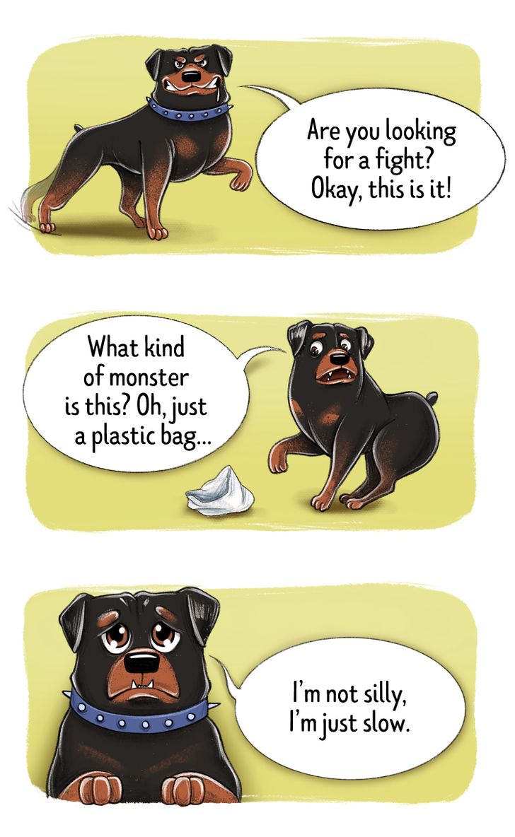 3d930155699fac1bd98761d7d6 3d930155699fac1bd98761d7d6