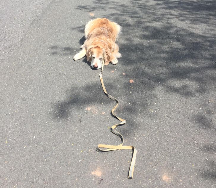 3d96665bff825d324cbfb3b60d