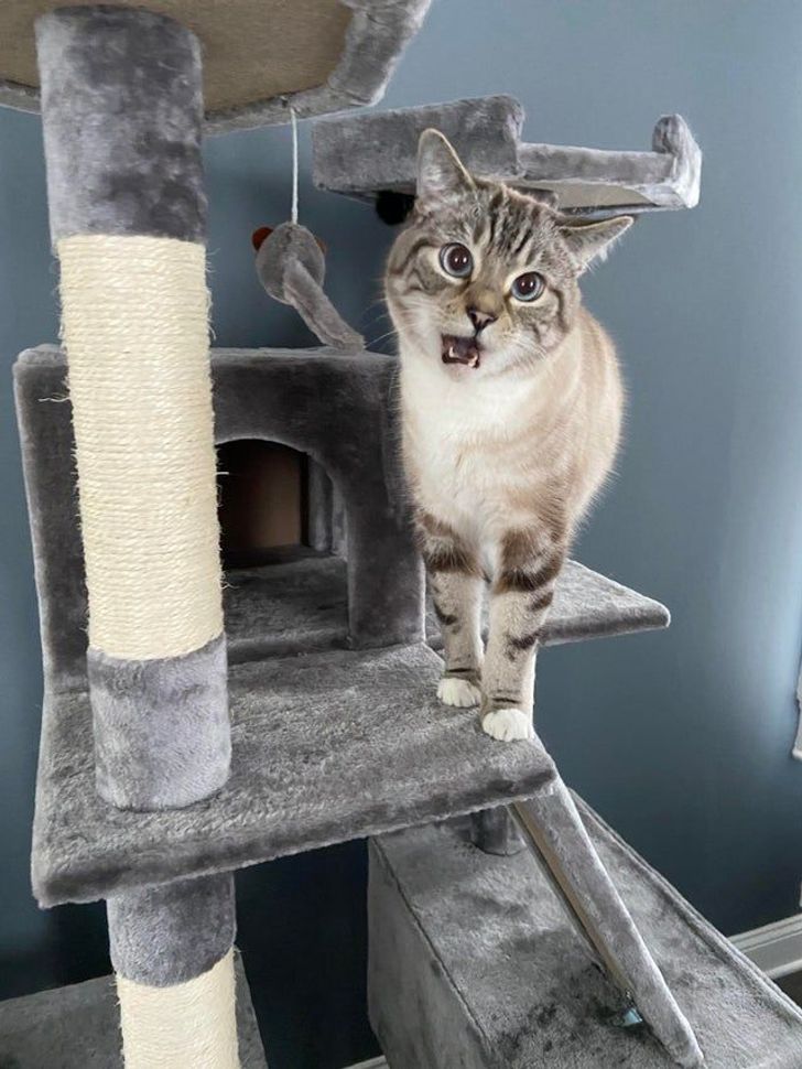 3d98ba5ef1a78bea505f122e72