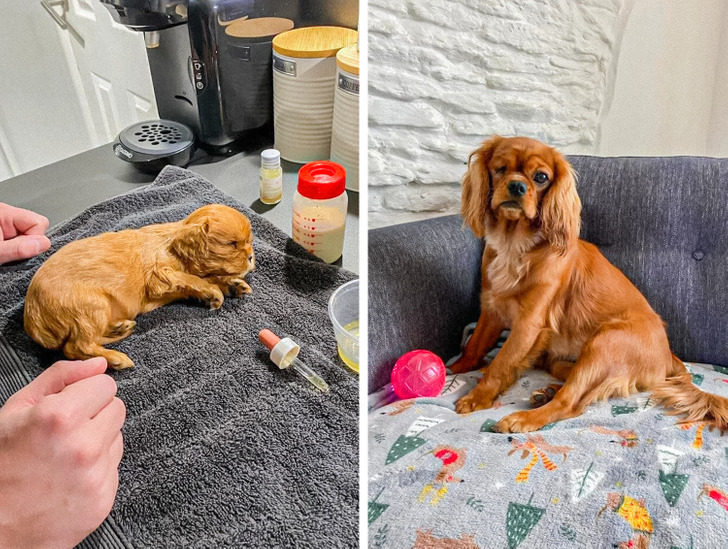 3d9d1453cd97005d4fc963d410 3d9d1453cd97005d4fc963d410