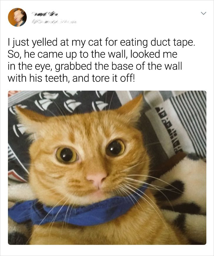 3d9f35569fbe617aee892183eb