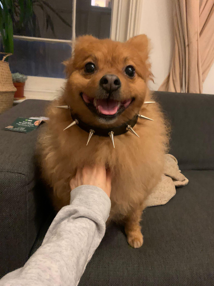 3db9f55cec826c471189e05dc1