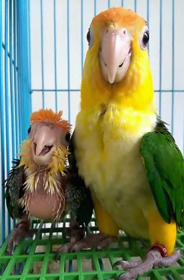 3dc11b50da9834ed3d5f53a367