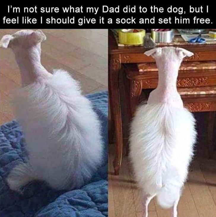 3dc8f558dcbbda1f06bfb11a9e