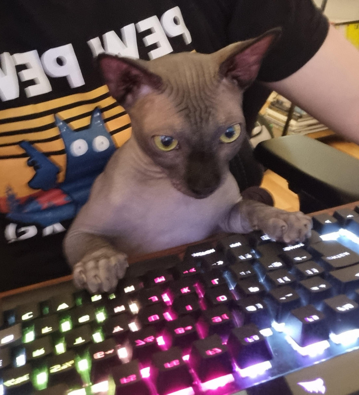 3dd28b5b84ae3517a9af4e2566